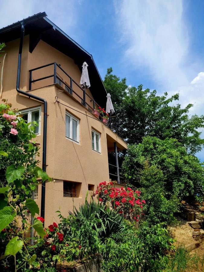 Casa Ema Hotel Orşova Exterior foto